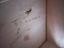Immagine 21