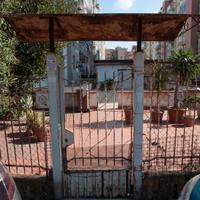 Cancello pedonale e tettoia in ferro