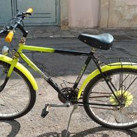 Mountain bike uomo