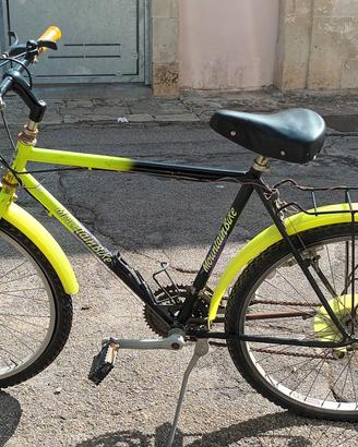Mountain bike uomo