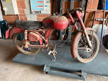 Benelli leoncino 125