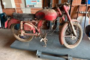 Benelli leoncino 125