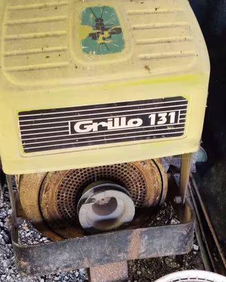 Motocoltivatore Grillo G131