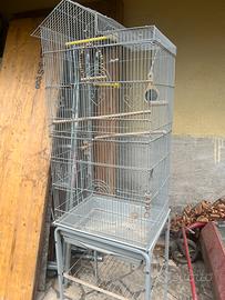 Gabbia per pappagalli uccellino cocorita
