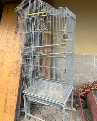 Gabbia per pappagalli uccellino cocorita