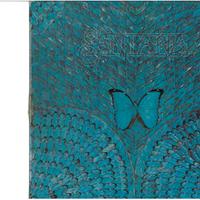 LP Vinile Santana Borboletta 1974 - CBS 69084