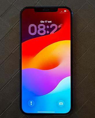 IPhone 12 pro max 256gb