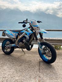 TM SMR 300 2018