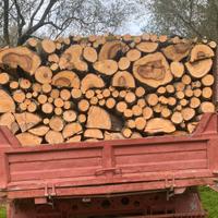 Legna da ardere pronta all’uso