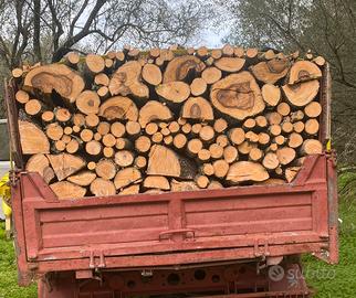 Legna da ardere pronta all’uso