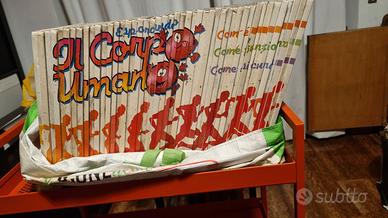 Esplorando il corpo umano 