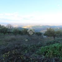 TER. RESIDENZIALE A CASTELLALTO