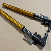 Steli Forcella Triumph Daytona 675 2006 2008