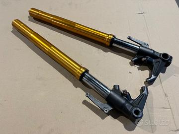 Steli Forcella Triumph Daytona 675 2006 2008