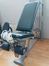 leg extension 