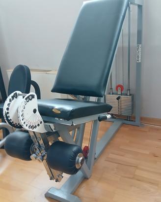 leg extension 