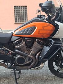 harley Davidson Panamerica 1250 special