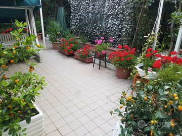 Zona Porto con grande giardino