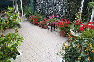 Zona Porto con grande giardino