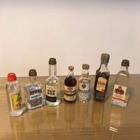 LIQUORI VODKA-SAMBUCA-GIN mignon