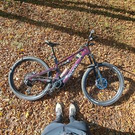 E-MTB Whyte E-Lyte Evo