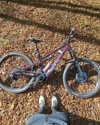 E-MTB Whyte E-Lyte Evo
