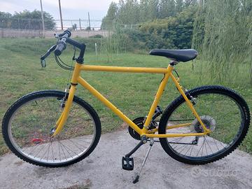 Bici Mountain bike raggio 26