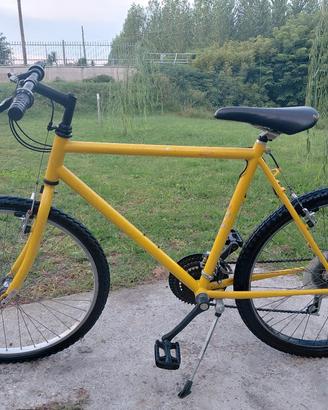 Bici Mountain bike raggio 26