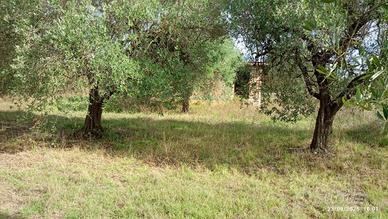 Terreno co casaletto