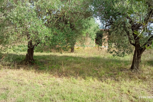 Terreno co casaletto