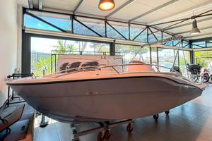 Aries OPEN Light con Mercury F 40 PRO