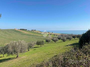 TER. AGRICOLO A ROSETO DEGLI ABRUZZI