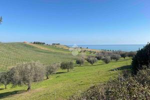 TER. AGRICOLO A ROSETO DEGLI ABRUZZI