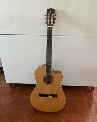 Chitarra acustica Avlarez