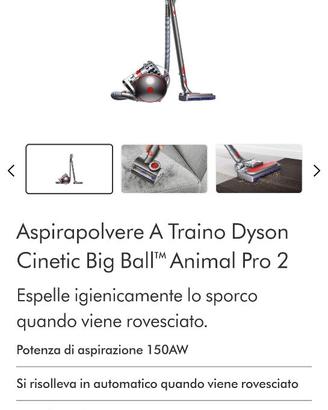 Aspirapolvere Dyson Big ball animal pro 2