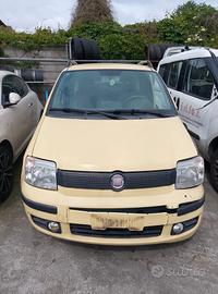 Panda 169