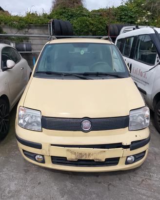 Panda 169