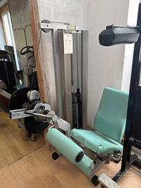 Leg Curl Seduto Technogym 110 kg – Professionale