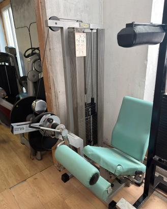 Leg Curl Seduto Technogym 110 kg – Professionale