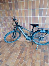 bicicletta elettrica 