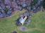 Immagine 12