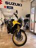 suzuki-v-strom-dl-800