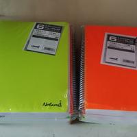 BLOCCHI SPIRALATI NOTAMI 23 PEZZI RIGHE QUADRETTI