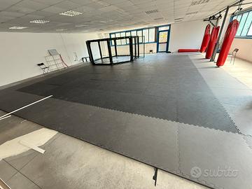 ATTREZZATURA MMA / PALESTRA