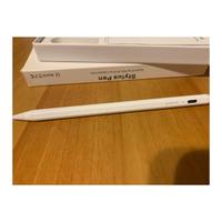 Penna per disegnare  iPad (non originale)