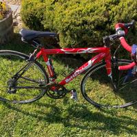 Bici da corsa Bottecchia