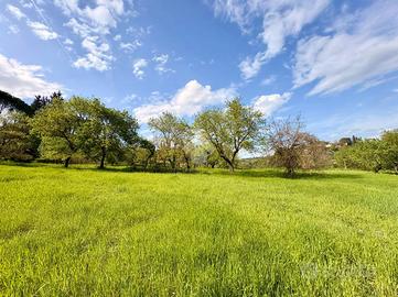 TER. AGRICOLO A IMPRUNETA