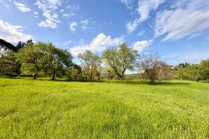 TER. AGRICOLO A IMPRUNETA