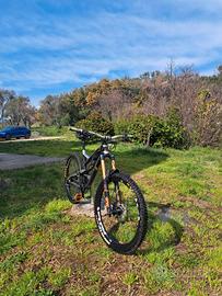 YT Capra CF taglia L