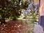 Immagine 5